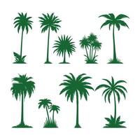 grön tropisk handflatan träd uppsättning vektor
