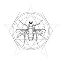 mystisk illustration med en insekt. linjekonst för tatueringsdesign. kontur vektor