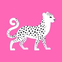 skön vit fick syn på leopard på en ljus rosa bakgrund. grafisk platt vektor illustration av en vild kattdjur djur.