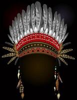 indisk hatt med fjädrar. etnisk tradition kostym . vektor