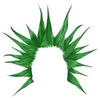 Punk Frisur.zottelig Haar Grün Farbe vektor