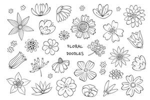 Blumen Kritzeleien Sammlung, Frühling Wildblumen Clip Art, Blumen- Karikatur Elemente isoliert auf Weiß Hintergrund zum Färbung Seiten, Aufkleber, Karten, Poster, Banner, usw. eps 10 vektor
