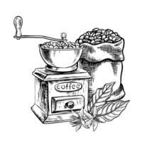 das Kaffee Schleifer mahlt Kaffee Bohnen. ein hölzern Scoop mit Kaffee Bohnen. Vektor schwarz und Weiß Illustration Illustration. zum Drucken, Menüs, Postkarten und Pakete. zum Banner, Flyer und Plakate