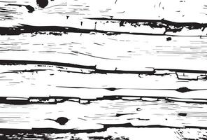 schwarz und Weiß Birke Rinde Grunge Textur Hintergrund. vektor