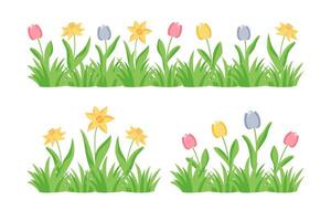 früh Frühling Garten Blumen isoliert auf Weiß Vektor Satz. Illustration von Tulpen und Narzissen im das Garten.