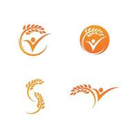 Weizen Logo Symbol vektor