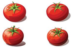 rot Tomaten einstellen Vektor Design Illustration