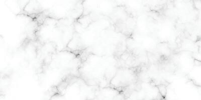 Marmor Fußboden Fliesen Textur. abstrakt schwarz Welle Crack auf Weiß Hintergrund. vektor