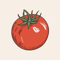 Tomate Clip Kunst Vektor Illustration