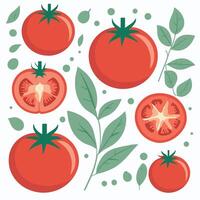 Tomate Clip Kunst Vektor Illustration