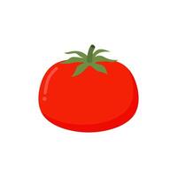 tomat isolerat enda enkel tecknad serie illustration. vegetabiliska organisk eco bio produkt från de bruka vektor illustration. tomat platt design objekt för vegetarian design