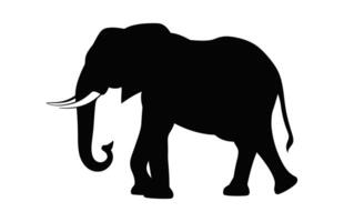 Elefant Silhouette isoliert auf ein Weiß Hintergrund, afrikanisch Elefant Vektor schwarz Clip Art