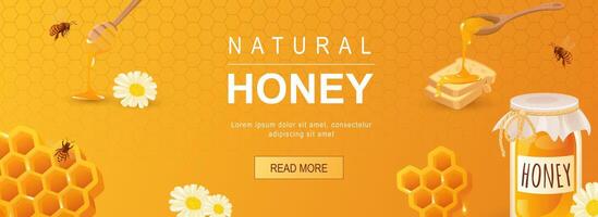 naturlig honung horisontell webb baner. honung burk, bröd, vaxkaka, bi, kamomill, organisk friska mat och ljuv produkt. vektor illustration för rubrik hemsida, omslag mallar i modern design