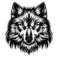 Wolf-Vektor-Illustration vektor