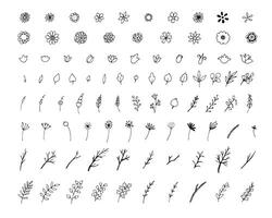 Blumen- Dekoration Ast Blatt Pflanze Linie Schlaganfall Symbol Piktogramm Symbol einstellen Sammlung vektor