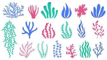 hav koraller. under vattnet växter, hand dragen marin botanisk tång, polyper och koraller, hav flora vektor illustration uppsättning