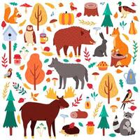 Karikatur Herbst Tiere. süß Wald Vögel und Tiere, Elch Ente Wolf und Eichhörnchen, wild Wald Fauna isoliert Vektor Illustration Symbole einstellen