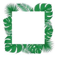 tropisk löv sommar fyrkant vit ram med monstera, handflatan blad. hand dragen vektor mall för design, kort, inbjudan, affisch