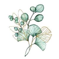 Strauß von transparent Eukalyptus und Ginkgo Blätter und Gold Elemente. Aquarell Zeichnung vektor