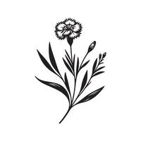 ai generiert Dianthus Blume Silhouette schwarz und Weiß Illustration vektor