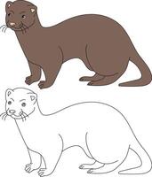 Meer Otter Clip Art. Gliederung und bunt Otter vektor