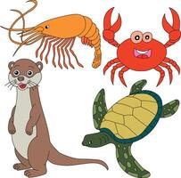 Wasser- Tiere Clip Art Satz. Meer Schildkröte, Krabbe, Garnele, Otter vektor