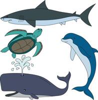 vatten- djur ClipArt uppsättning. hav sköldpadda, haj, val, delfin vektor