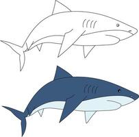 haj ClipArt uppsättning. färgrik och översikt hajar vektor