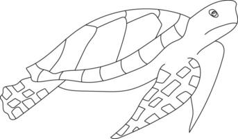 översikt hav sköldpadda ClipArt vektor
