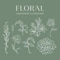 elegans hand dragen mono-line blommig botanisk blomma element bakgrund design vektor