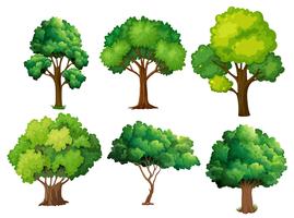 Eine Reihe von Baum vektor