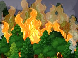 Ein Wald mit einer Waldbrandkatastrophe vektor