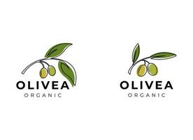 oliv olja logotyp vektor design