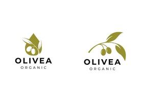 oliv olja logotyp vektor design