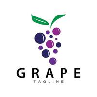 Traube Logo, Garten Vektor, frisch lila Frucht, Wein Marke Design, einfach Illustration Vorlage vektor