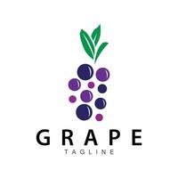 Traube Logo, Garten Vektor, frisch lila Frucht, Wein Marke Design, einfach Illustration Vorlage vektor