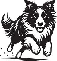 gräns collie hund illustration. vektor