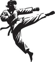 männlich Taekwondo Spieler trete Silhouette. vektor