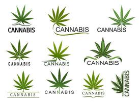 cannabis marijuana blad ikoner, hampa och ogräs växt vektor