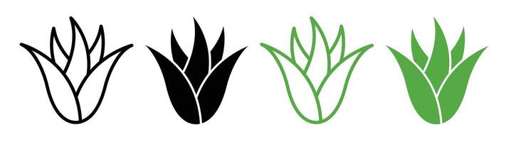 Aloe vera Symbol vektor