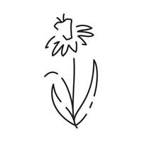 Frühling Blumen Linie Symbol. Wald Farn Eukalyptus Kunst Laub natürlich Blätter Kräuter. dekorativ Schönheit elegant Illustration zum Design Hand gezeichnet Blume. vektor