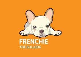 ein süß faul Französisch Bulldogge ist Lügen Nieder auf das Fußboden vektor