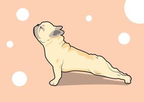 söt franska bulldogg yoga träning, designad med en platt Färg stil vektor