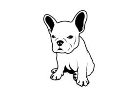 de franska bulldogg är Sammanträde på de golv i svart och vit stil vektor