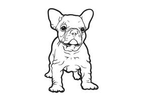 Französisch Bulldogge schwarz und Weiß Logo Vektor mit Falten Stil Aufkleber tätowieren