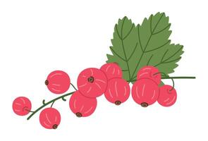 mogen röd vinbär. gren med färsk röd bär, röd vinbär och grön löv, saftig bär för friska näring platt vektor illustration. mogen röd vinbär