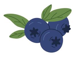 blåbär gren. utsökt blåbär på kvist, färsk ätlig bär för friska näring. hand dragen saftig skog bär platt vektor illustration