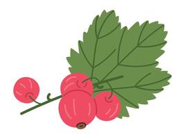 röd vinbär. mogen röd vinbär och grön löv, gren med färsk röd bär, färsk bär för friska näring platt vektor illustration. saftig röd vinbär kvist