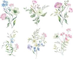 Aquarell Blumen- Satz. Hand gezeichnet Illustration isoliert auf transparent Hintergrund. vektor