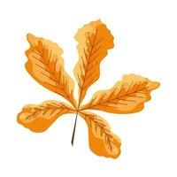 Herbstkastanienblatt
